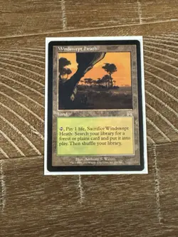 Magic: The Gathering - Windswept Heath - Onslaught - Rare - Card #328 - Image 1