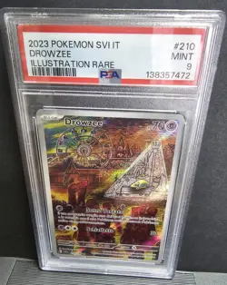 Pokemon - Drowzee 210/198 - Il. Rare - Scarlatto e Violetto (SVI IT) -PSA 9 MINT - Image 5