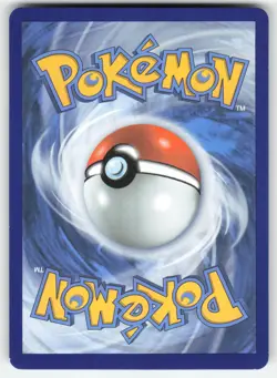 Pikachu V SWSH143 Pokemon TCG Sword & Shield Promo NM - Image 2