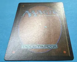 MTG: Ice Age: Karplusan Forest: See Card BACK - Image 2