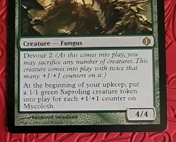 MTG Mycoloth x1 NM ~Shards of Alara (Magic the Gathering)*Free Shipping* - Image 4