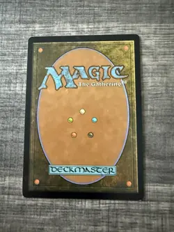 Sigarda’s Aid Magic The Gathering - Image 2