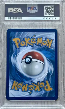 MARILL #204 PSA 9 2023 POKEMON PAL EN-PALDEA EVOLVED ILLUSTRATION RARE - Image 2