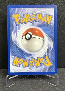 Litten MEP 044 - Pokemon First Partner Black Star Promo Pokemon NM/M - Image 2