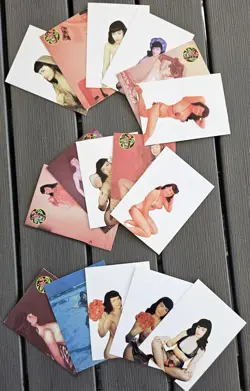 Lot of (16) Bettie Page Trading Cards. Risque Lingerie - 1998 Keva International - Image 1