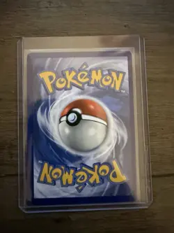 Pokemon Pidgeot EX TCG Sv03: Obsidian Flames Holo Ultra Rare - Image 2