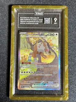 TAG 9 Bloodmoon Ursaluna ex 216 SIR Twilight Masquerade. Pokemon TCG. With guard - Image 1