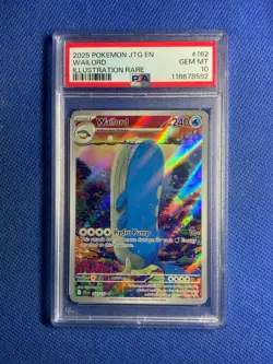 2025 Pokemon Jtg En-Journey Together Illustration Rare Wailord #162 PSA 10 🔥 - Image 1