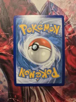 Eevee V - Promo Pokemon SWSH: Sword & Shield Black Star Cards SWSH065 NM - Image 2