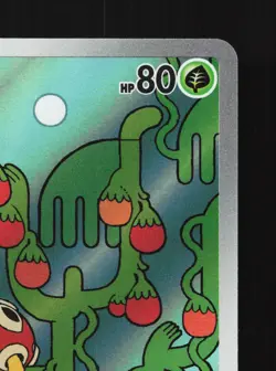 Shuckle 064/063 Mega Symphonia NM Japanese Pokemon Card TCG - Image 3