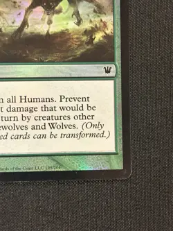 Moonmist 195 Common Innistrad FOIL Magic The Gathering Card - Image 4