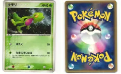 Treecko Holo Japanese Pokemon TCG 7-Eleven 016/ADV-P MP - Image 3