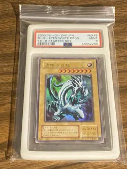 Yu-Gi-Oh Blue-Eyes White Dragon EX-49 EX-R Starter Box - Image 1