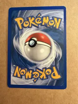 Pokemon - Teddiursa 109/144 Common Skyridge HP/MP - Image 2