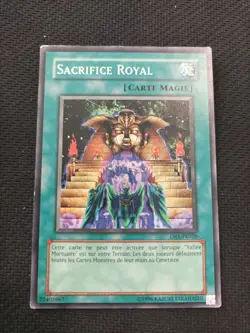 Carte Yu-Gi-Oh Sacrifice Royal Dr1-fr039 - Image 1