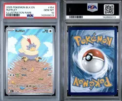 PSA 10- Rufflet 154/086 - Illustration Rare -2025 Pokemon Black Bolt #154 - Image 2
