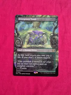 Overgrown Tomb (0350) (Borderless) MTG Lorwyn Eclipsed - Non Foil - Image 1