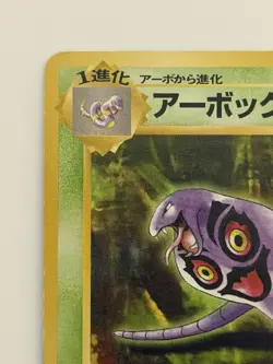 Arbok No. 024 Fossil Set old back vintage Japanese Pokemon Card From Japan - Image 2