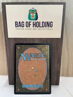 Mystifying Maze - 0029 - Borderless -Edge of Eternities -NM - Magic - MTG - Image 2