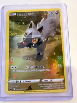 Poochyena GG33/GG70 Crown Zenith: Galarian Gallery Holo Near Mint Pokemon TCG - Image 1