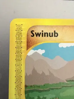 2003 Pokemon Swinub 108/144 Skyridge Regular and RARE EX-MT and Never Played - Image 2