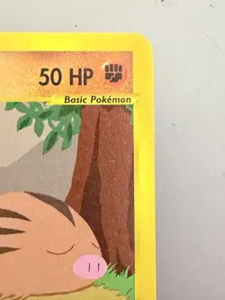 2003 Pokemon Swinub 108/144 Skyridge Regular and RARE EX-MT and Never Played - Image 3