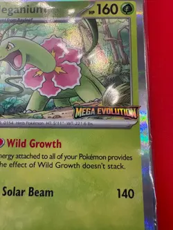 Pokemon Mega Evolution Staff Promos Set of 4 Sealed Pack Free UK Postage - Image 3