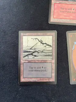 Magic the Gathering All Five Basic Lands BETA Never Played - Image 4