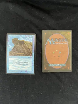 Magic the Gathering Giant Tortoise X2 Arabian Nights NM - Image 1
