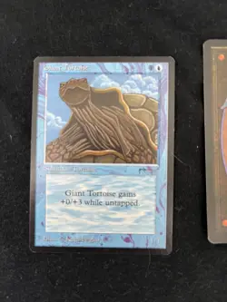 Magic the Gathering Giant Tortoise X2 Arabian Nights NM - Image 2