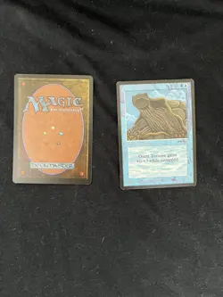 Magic the Gathering Giant Tortoise X2 Arabian Nights NM - Image 4