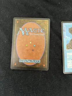 Magic the Gathering Giant Tortoise X2 Arabian Nights NM - Image 5