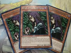 3x Witch of the Black Forest - TOCH-EN027 - Rare - 1st Edition - Yugioh - Image 1