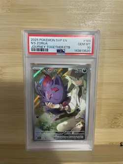 Pokemon N's Zorua 189 Sv: Scarlet & Violet Promo Holo PSA 10 2025 - Image 1