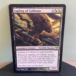 Sapling of Colfenor Eventide Regular MTG TCG CARD LP - Image 1