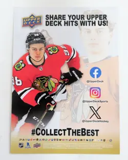 2024 Upper Deck CONNOR BEDARD RC ROOKIE PROMO 5x7 LOT Of (40) NM-MT #1 Pick - Image 3