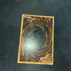 Yu-Gi-Oh! Dark Paladin DMG-001 Limited Edition Secret Rare Promo - Image 4