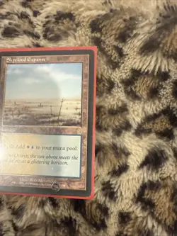 Lp Skycloud Expanse Odyssey Mtg Magic the Gathering - Image 4