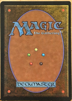 LIMITED EDITION Legends Vintage MtG Wall of Wonder Unplayed NM - Image 2