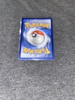 Tepig SWSH172 | Black Star Promo Pokemon Card | Holo Galaxy HD - Image 2