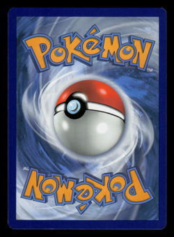 NM - Pokemon Applin 020/192 Rebel Clash Blister Cosmos Holo Rare - Image 2