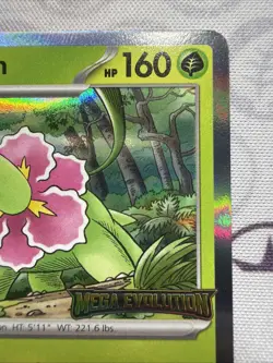 Meganium - MEP 001 Mega Evolutions Stamped Black Star Promo Pokemon TCG NM - Image 3