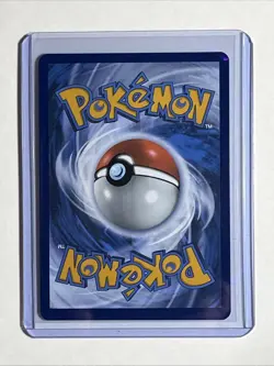 Team Rocket's Wobbuffet 203 Sv: Scarlet & Violet Promo Cards Holo - Image 2
