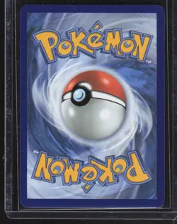 2025 Scarlet & Violet Series - Journey Together Wailord Illustration Rare #162 - Image 2