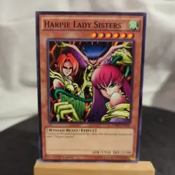 Harpie Lady Sister - DPBC-EN038 - Common 1st Edition Yugioh NM - Image 1
