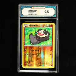 TQG 9.5 MINT+ 2016 Pokemon ENG Pancham XY-Bp 71/122 C - Image 2