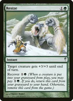 1x Resize NM English MTG - Coldsnap - Image 1