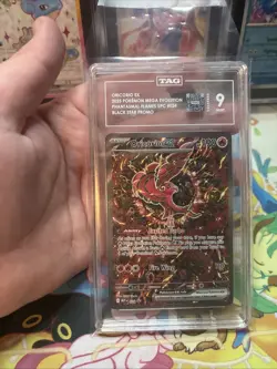 Pokemon Oricorio ex 024 Mega Evolution Black Star Promo TAG Mint 9 - Image 1