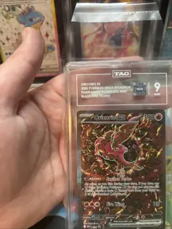 Pokemon Oricorio ex 024 Mega Evolution Black Star Promo TAG Mint 9 - Image 2