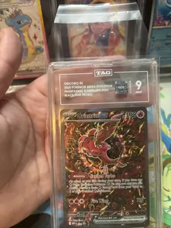 Pokemon Oricorio ex 024 Mega Evolution Black Star Promo TAG Mint 9 - Image 3